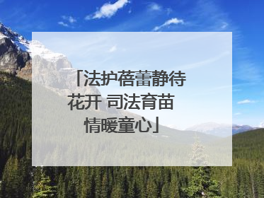 法护蓓蕾静待花开 司法育苗情暖童心