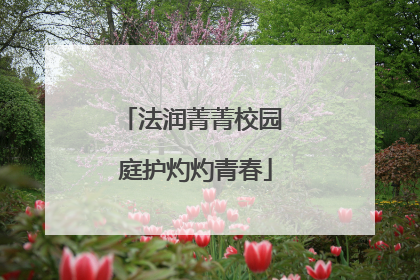 法润菁菁校园 庭护灼灼青春