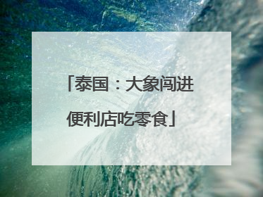 泰国：大象闯进便利店吃零食