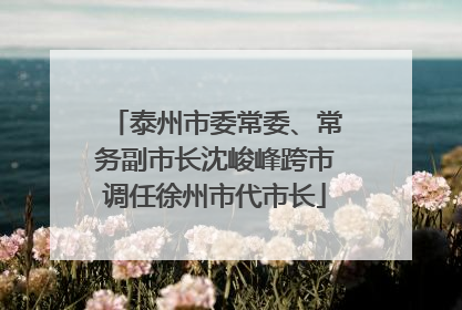 泰州市委常委、常务副市长沈峻峰跨市调任徐州市代市长