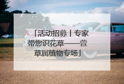 活动招募丨专家带您识花草——萱草属植物专场