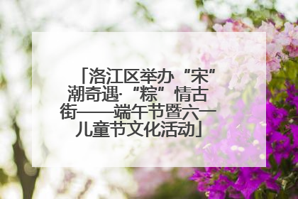 洛江区举办“宋”潮奇遇·“粽”情古街——端午节暨六一儿童节文化活动