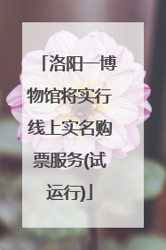 洛阳一博物馆将实行线上实名购票服务(试运行)