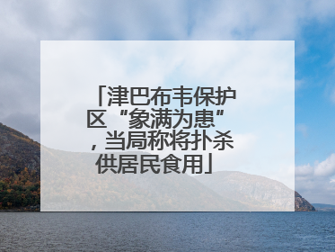 津巴布韦保护区“象满为患”，当局称将扑杀供居民食用
