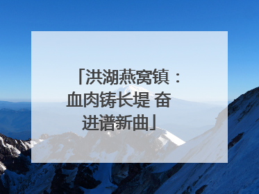 洪湖燕窝镇：血肉铸长堤 奋进谱新曲