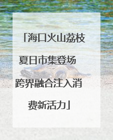 海口火山荔枝夏日市集登场 跨界融合注入消费新活力