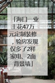 海口一业主花47万元定制装修，验房发现仅多了2样家电、2面背景墙