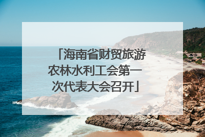 海南省财贸旅游农林水利工会第一次代表大会召开