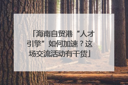 海南自贸港“人才引擎”如何加速？这场交流活动有干货