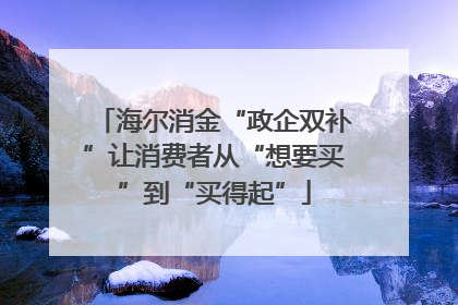 海尔消金“政企双补”让消费者从“想要买”到“买得起”