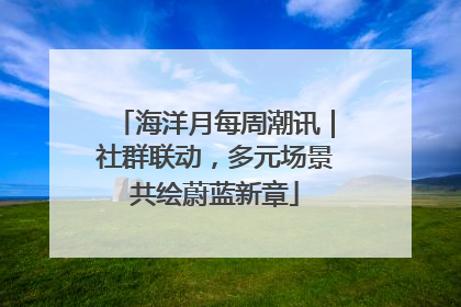 海洋月每周潮讯｜社群联动，多元场景共绘蔚蓝新章