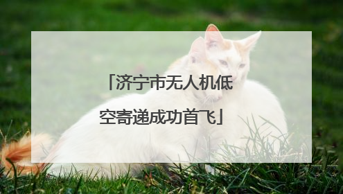 济宁市无人机低空寄递成功首飞