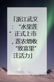 浙江武义：“水果莲”正式上市，莲农增收“致富果”注活力