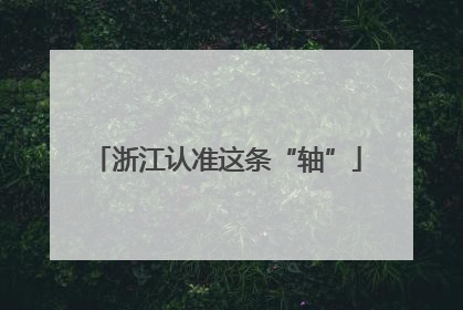 浙江认准这条“轴”