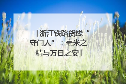 浙江铁路货线“守门人”：毫米之精与万日之安