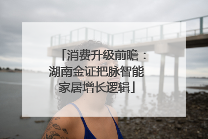 消费升级前瞻：湖南金证把脉智能家居增长逻辑