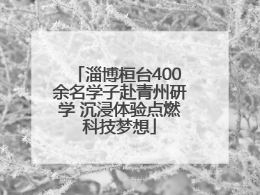 淄博桓台400余名学子赴青州研学 沉浸体验点燃科技梦想
