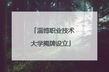 淄博职业技术大学揭牌设立