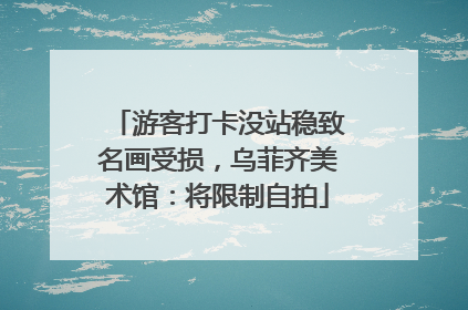 游客打卡没站稳致名画受损，乌菲齐美术馆：将限制自拍