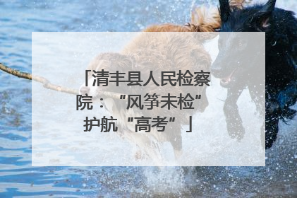 清丰县人民检察院：“风筝未检”护航“高考”