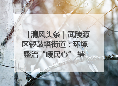 清风头条｜武陵源区锣鼓塔街道：环境整治“暖民心” 辖区面貌“靓”起来