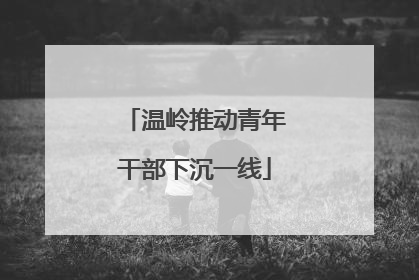 温岭推动青年干部下沉一线