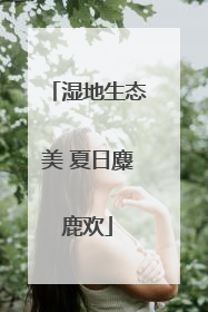 湿地生态美 夏日麋鹿欢