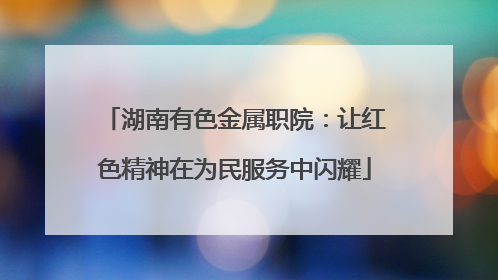 湖南有色金属职院：让红色精神在为民服务中闪耀