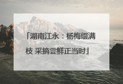 湖南江永：杨梅缀满枝 采摘尝鲜正当时
