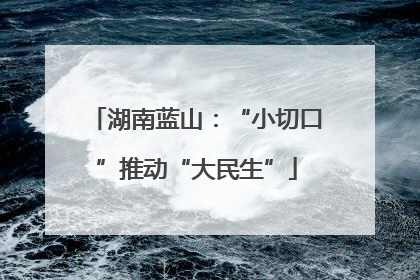 湖南蓝山：“小切口”推动“大民生”