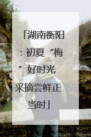 湖南衡阳：初夏“梅”好时光 采摘尝鲜正当时