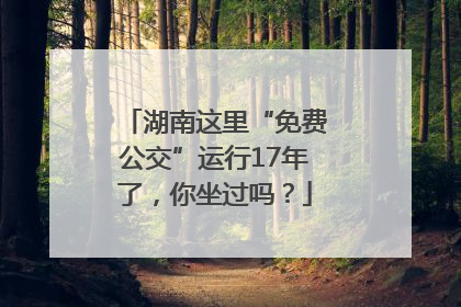 湖南这里“免费公交”运行17年了，你坐过吗？