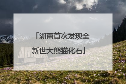 湖南首次发现全新世大熊猫化石