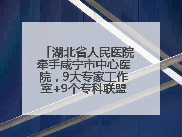 湖北省人民医院牵手咸宁市中心医院，9大专家工作室+9个专科联盟筑牢区域医疗网
