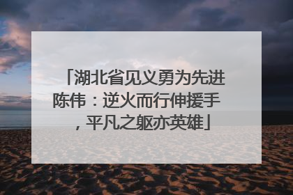 湖北省见义勇为先进陈伟：逆火而行伸援手，平凡之躯亦英雄