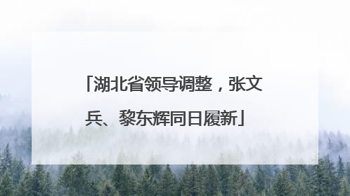 湖北省领导调整，张文兵、黎东辉同日履新