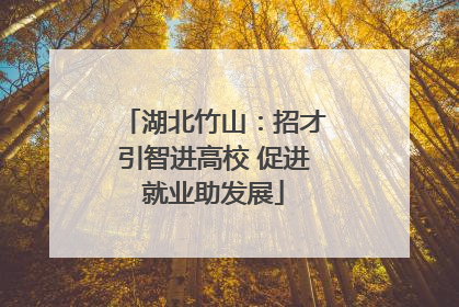 湖北竹山：招才引智进高校 促进就业助发展