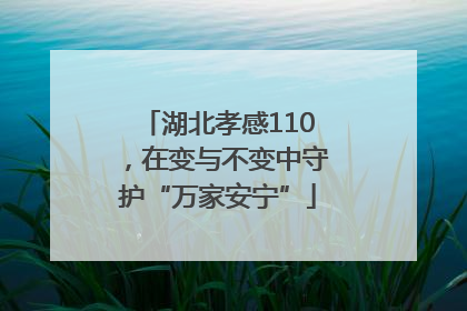 湖北孝感110，在变与不变中守护“万家安宁”