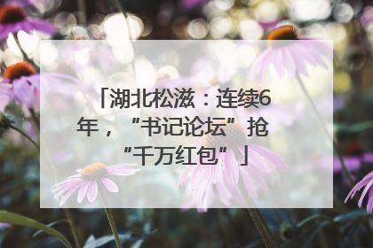 湖北松滋：连续6年，“书记论坛”抢“千万红包”
