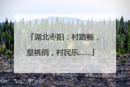 湖北枣阳：村路畅，皇桃俏，村民乐……