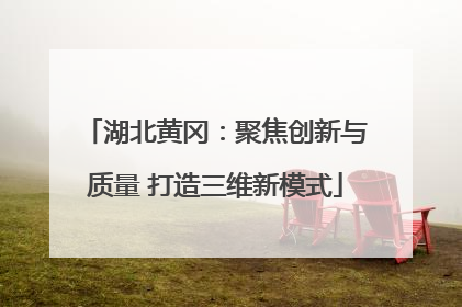 湖北黄冈：聚焦创新与质量 打造三维新模式