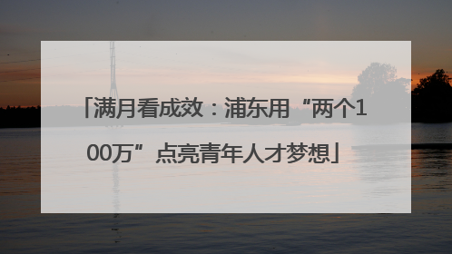 满月看成效：浦东用“两个100万”点亮青年人才梦想
