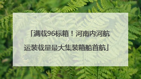 满载96标箱！河南内河航运装载量最大集装箱船首航