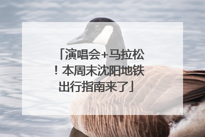 演唱会+马拉松！本周末沈阳地铁出行指南来了
