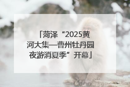 菏泽“2025黄河大集—曹州牡丹园夜游消夏季”开幕