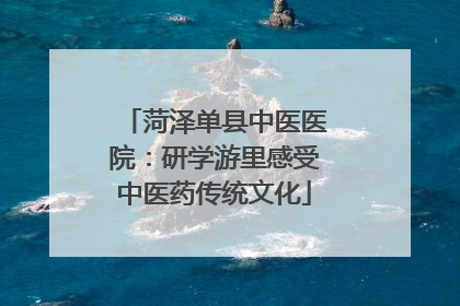 菏泽单县中医医院：研学游里感受中医药传统文化