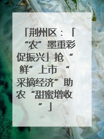荆州区：「“农”墨重彩促振兴」抢“鲜”上市 “采摘经济”助农“甜蜜增收”