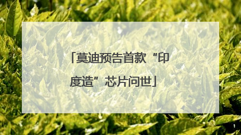 莫迪预告首款“印度造”芯片问世