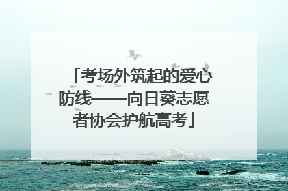 考场外筑起的爱心防线——向日葵志愿者协会护航高考