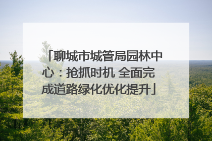 聊城市城管局园林中心：抢抓时机 全面完成道路绿化优化提升